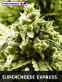 SUPER CHEESE EXPRESS / 5 SEMILLAS
