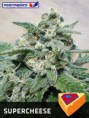 SUPERCHEESE / 5 SEMILLAS